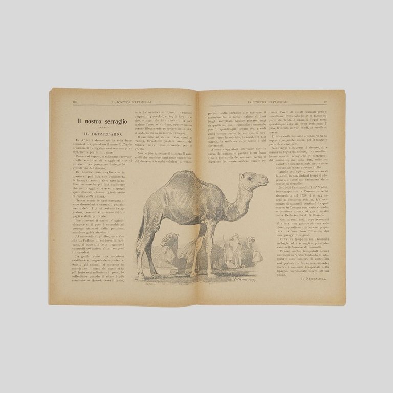 La domenica dei fanciulli. Giornale settimanale illustrato.