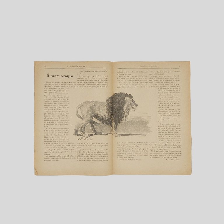 La domenica dei fanciulli. Giornale settimanale illustrato.