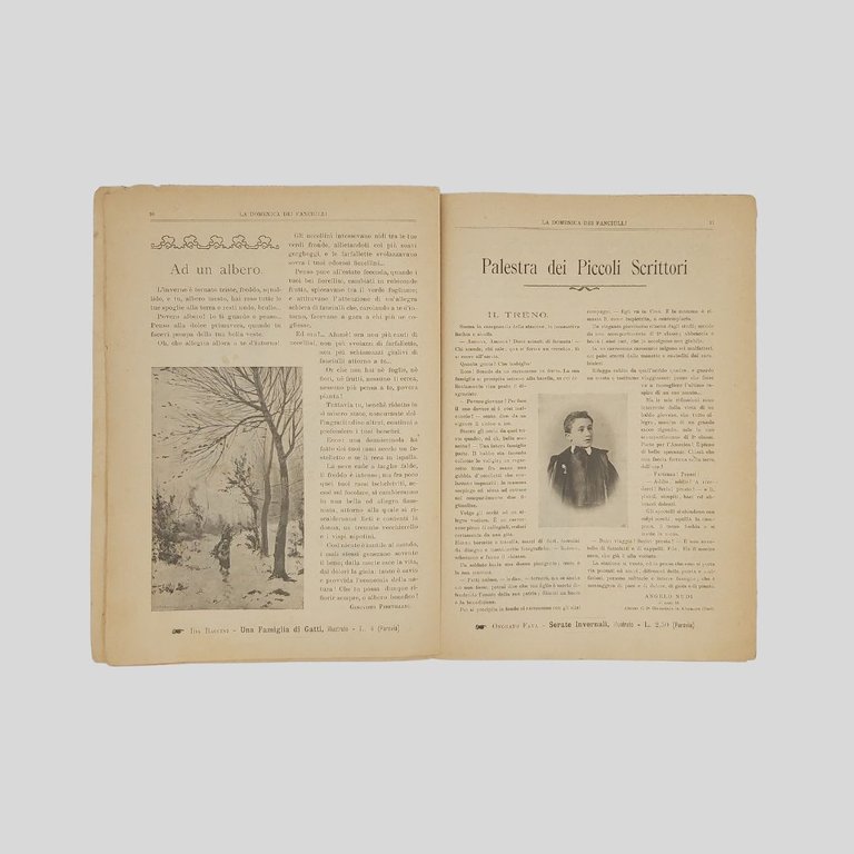 La domenica dei fanciulli. Giornale settimanale illustrato.