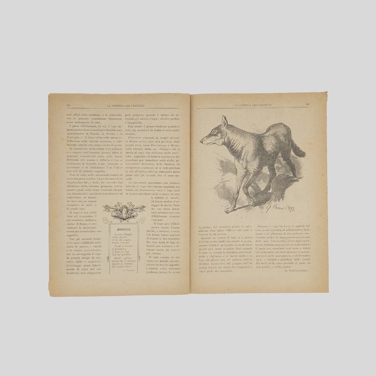 La domenica dei fanciulli. Giornale settimanale illustrato.