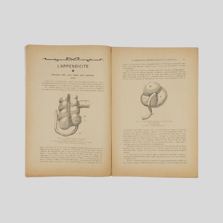 La Medicina Internazionale Illustrata. Rivista mensile. Analitica-Medica-Farmaceutica-Letteraria. Anno XI. Paris, …