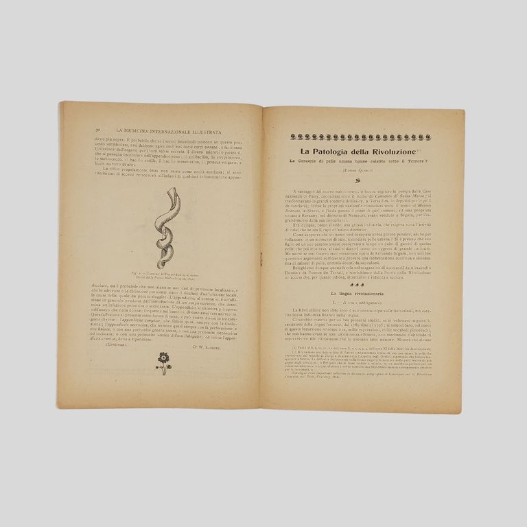 La Medicina Internazionale Illustrata. Rivista mensile. Analitica-Medica-Farmaceutica-Letteraria. Anno XI. Paris, …