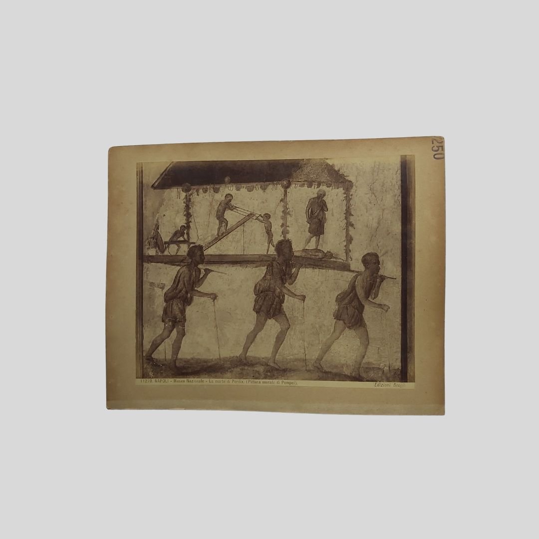 La morte di Perdix. Napoli Museo Nazionale. Edizioni Brogi. | Immagine principale