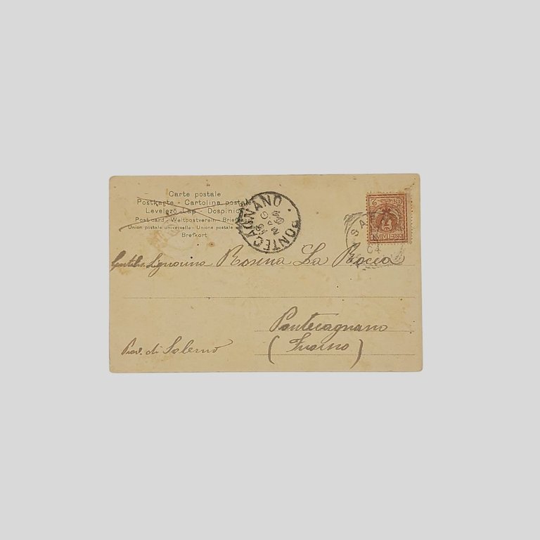 Mano con rose. | Immagine Gallery 2