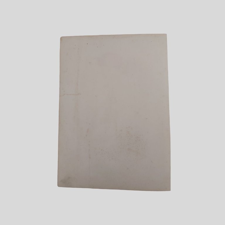 Maria Canera di Salasco. Contessa La Torre, ritratto a mezza …