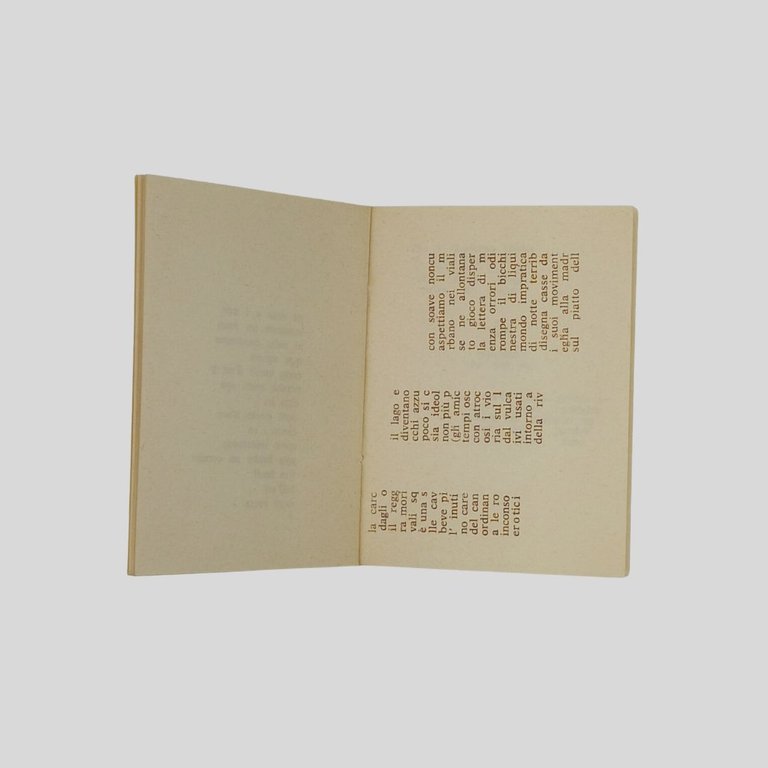 MDZ. | Immagine Gallery 2