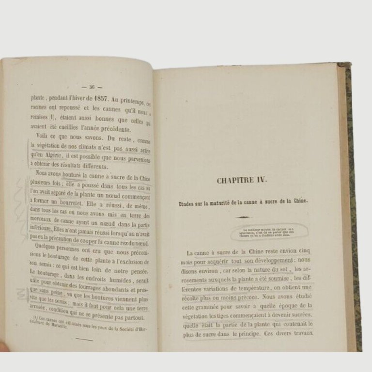 Monographie de la Canne à sucre de la Chine dite …