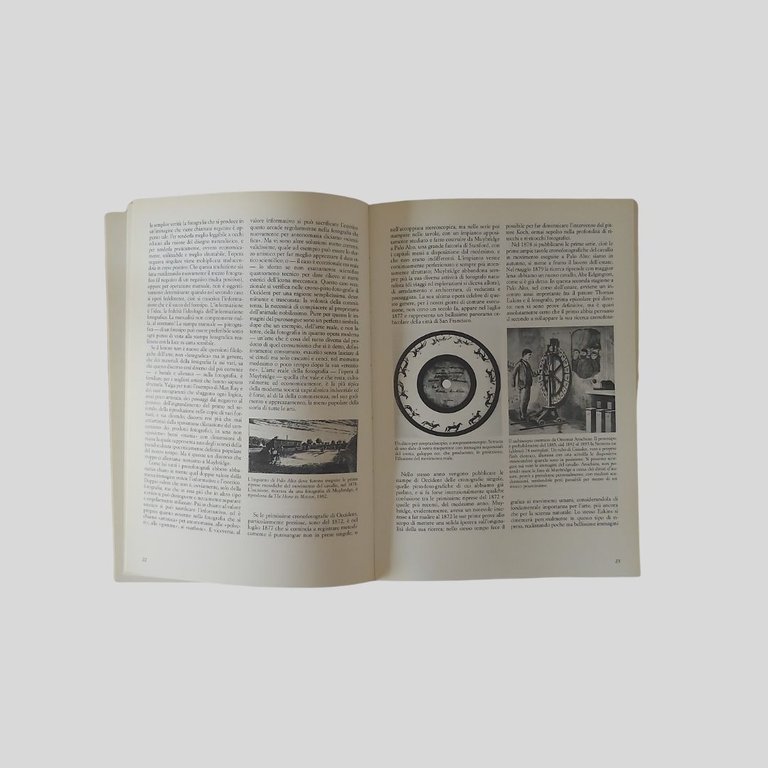 Muybridge. Il magnifico voyeur. | Immagine Gallery 2