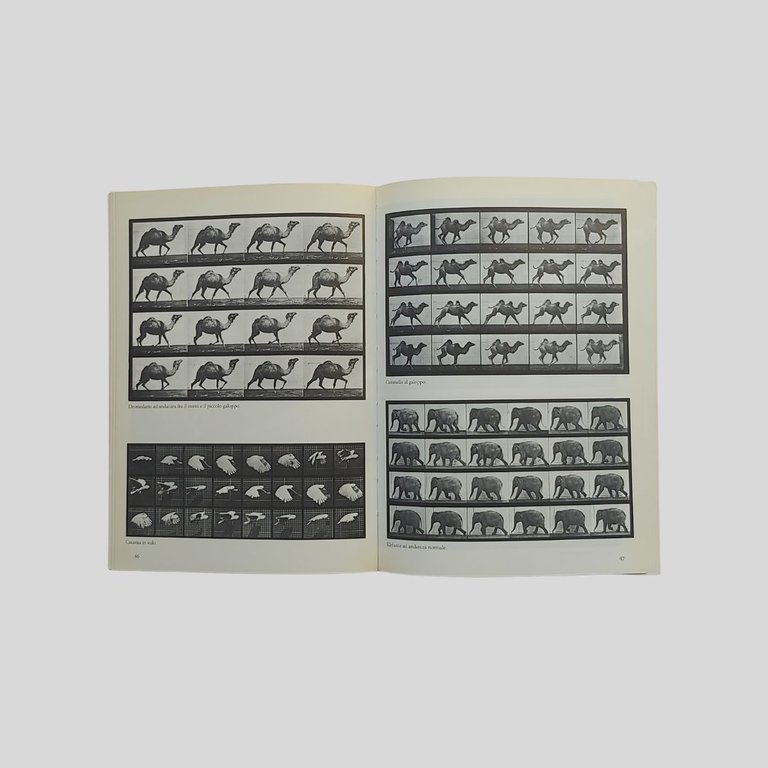 Muybridge. Il magnifico voyeur. | Immagine Gallery 3