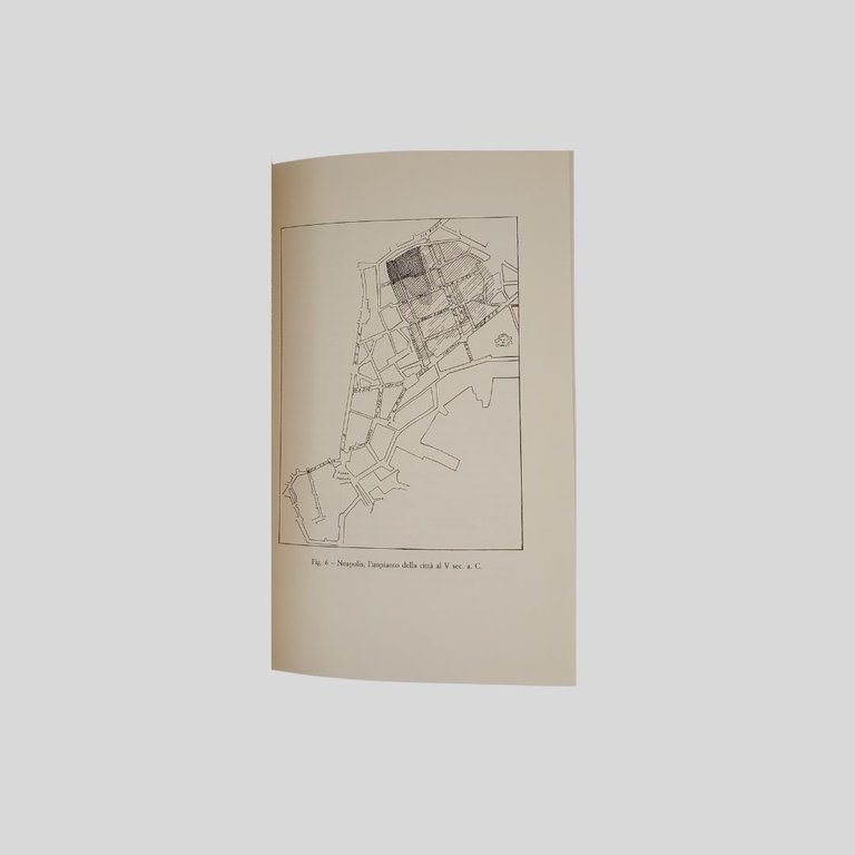 Napoli greco-romana. Con un ricordo di Giovanni Pugliese Carratelli. Presentazione … | Immagine Gallery 4