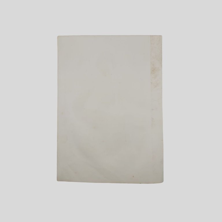 Nicola Fabrizi, ritratto a mezza figura.