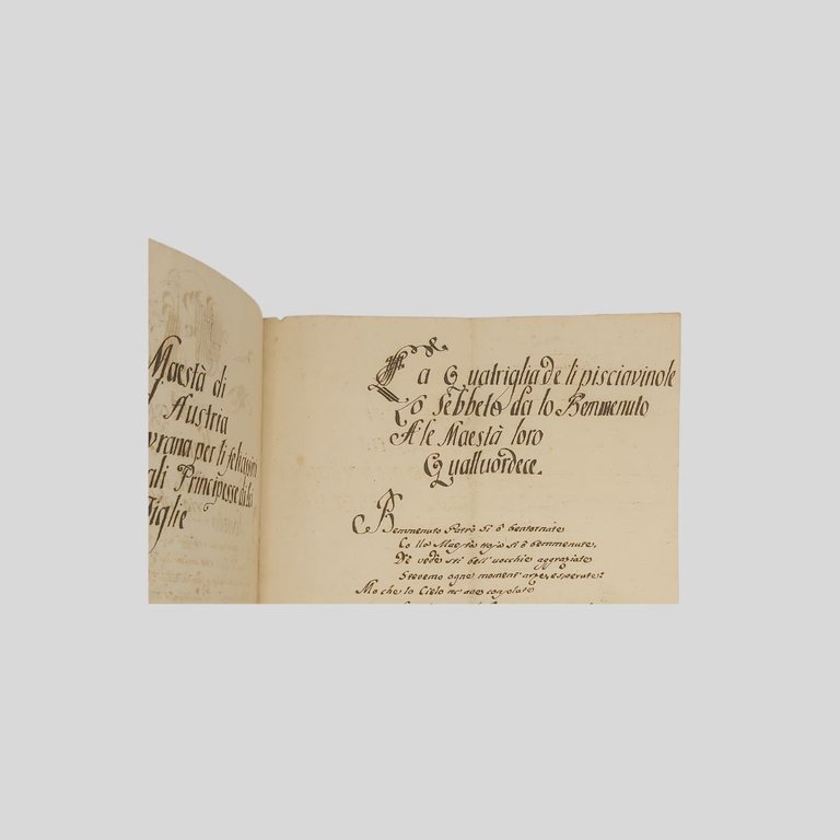 Nozze borboniche. Maria Teresa di Borbone e Francesco d’Asburgo. | Immagine Gallery 3