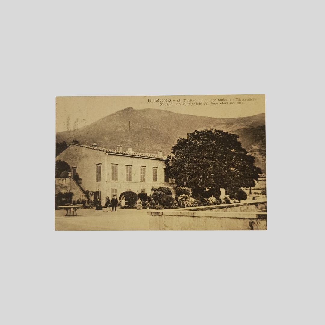 Portoferraio. (S. Martino) Villa Napoleonica e «Micocoulier» (Celtis Australis) piantato … | Immagine principale