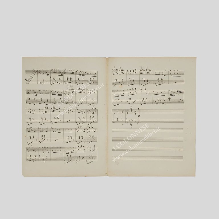 Ritratto fotografico con firma autografa a inchiostro marrone. Raro e …