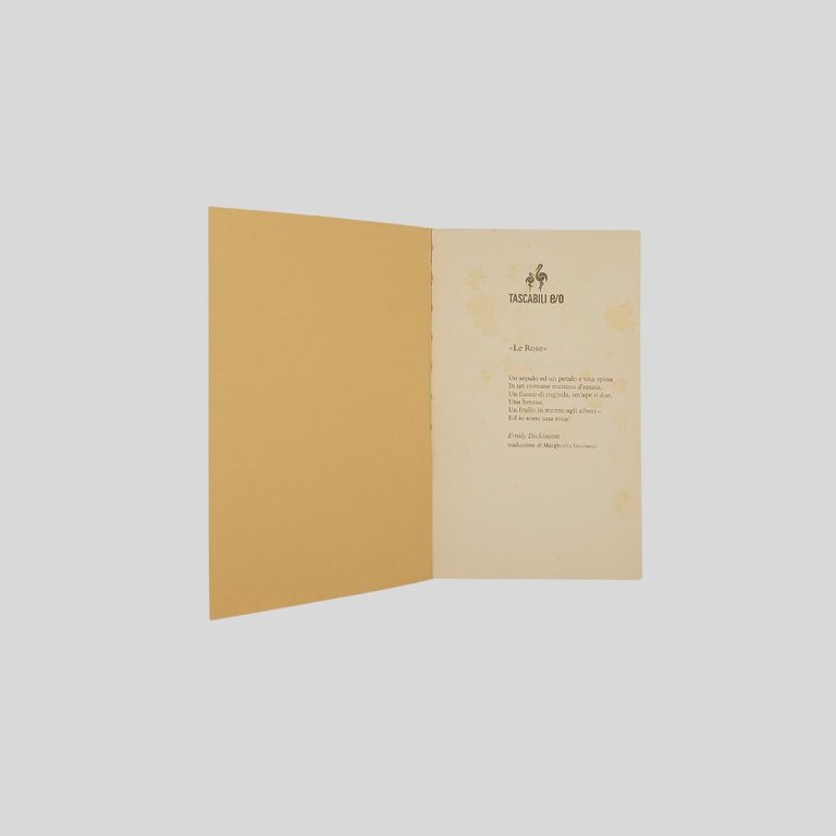 Rose ispano americane. Racconti di scrittrici dell’america latina. A cura … | Immagine Gallery 2