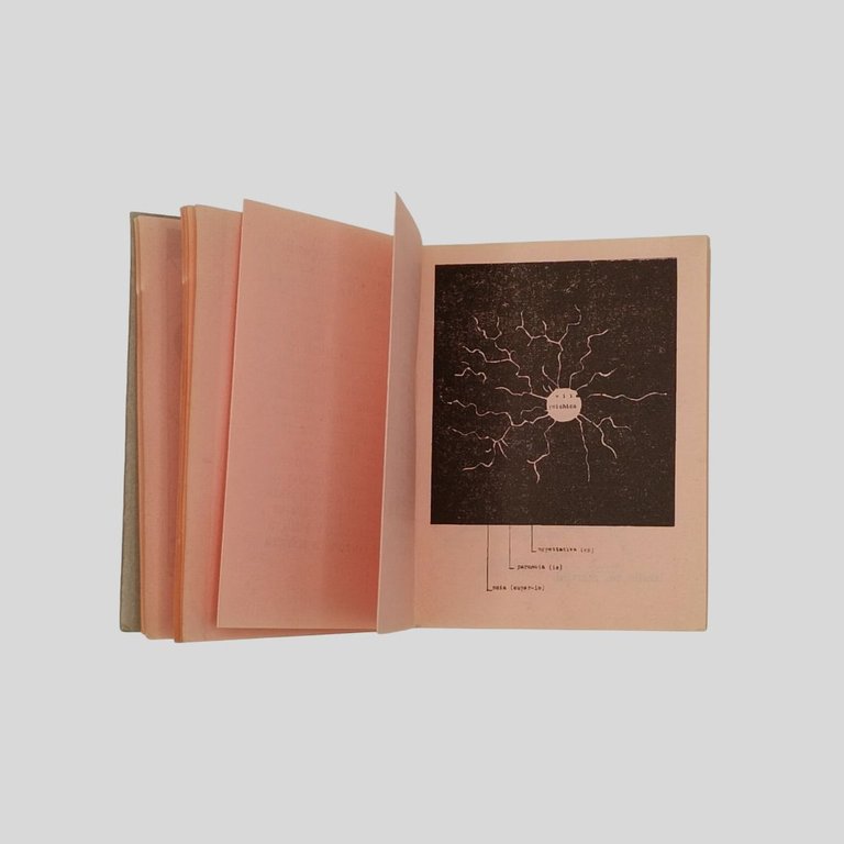 Scritture e testi di Villa – Diacono – Martini. | Immagine Gallery 4