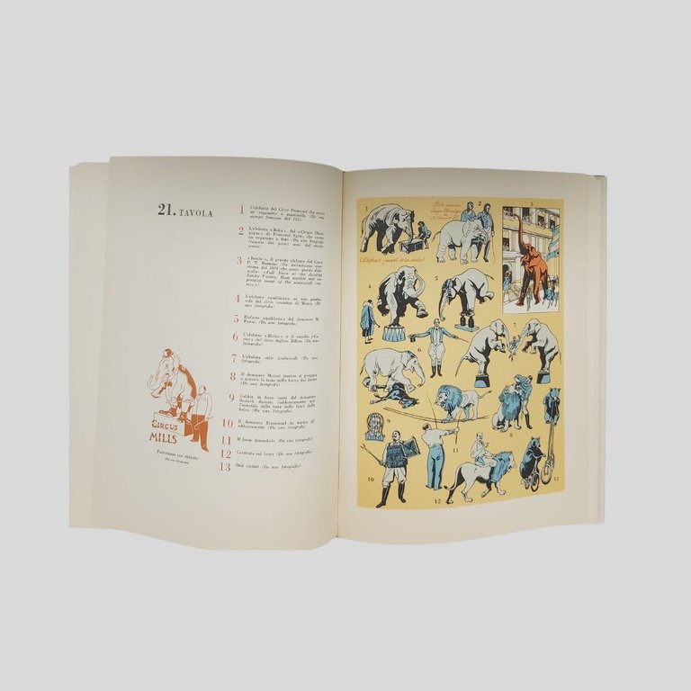 Storia del Circo. Con illustrazioni e disegni dell’autore.
