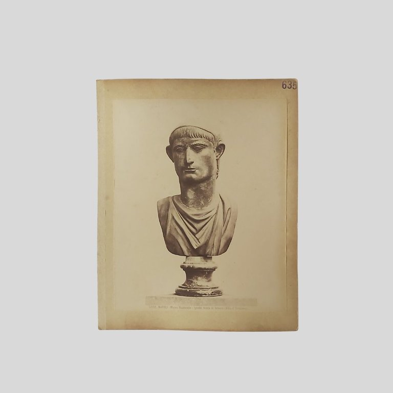 Tolomeo Filametore. | Immagine Gallery 2