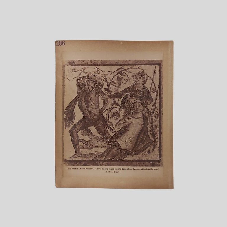 Torre Annunziata. Napoli Museo Nazionale. | Immagine Gallery 2