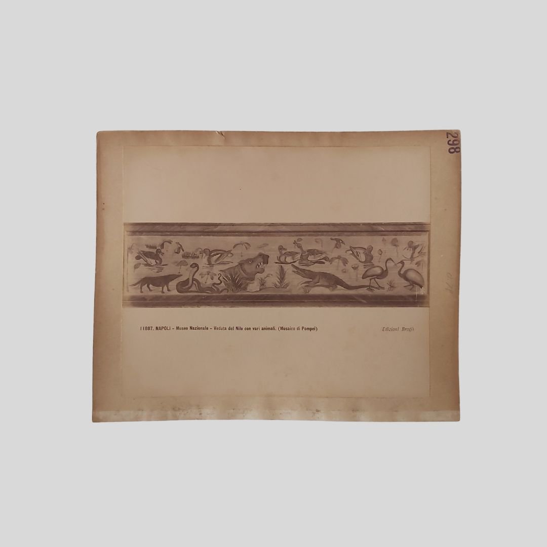 Veduta del Nilo con vari animali. Napoli Museo Nazionale. Edizioni … | Immagine principale
