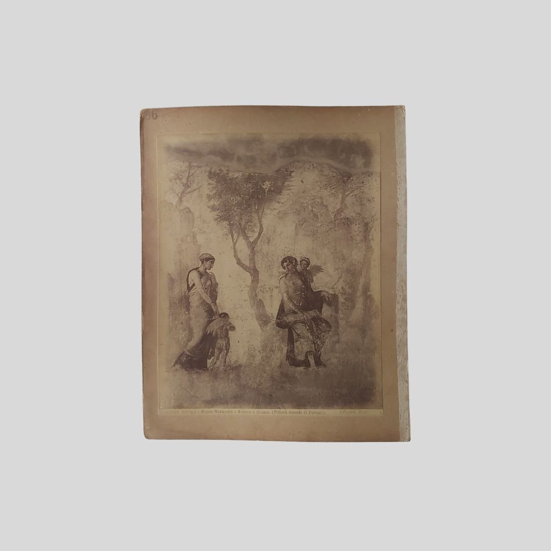 Venere e Urania. Napoli Museo Nazionale. Edizioni Brogi. | Immagine principale