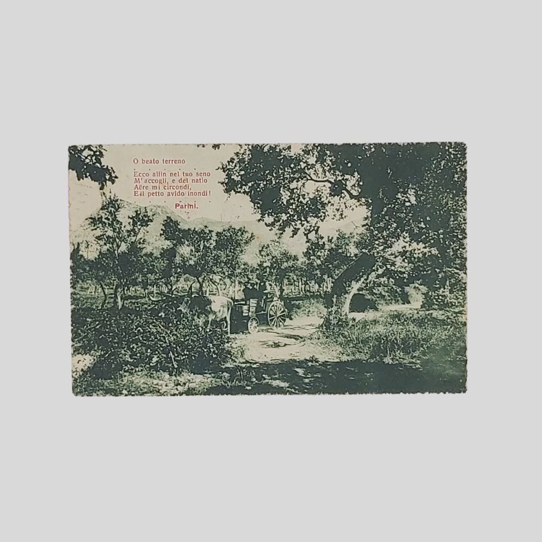 Versi con carro trainato da buoi.