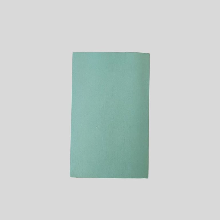Verso il sole. Cronaca del soggiorno napoletano. A cura di … | Immagine Gallery 7