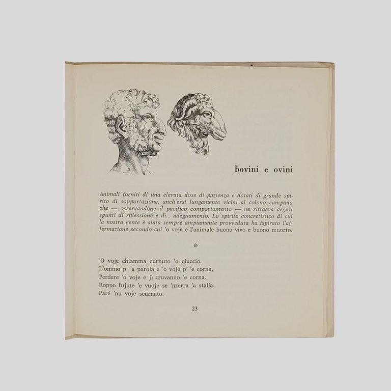 Zooverbi cioè gli animali nei proverbi napoletani.