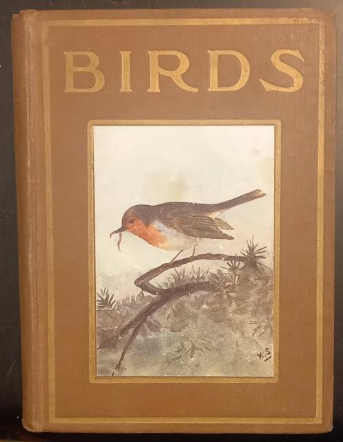 BIRDS. 1930 circa.