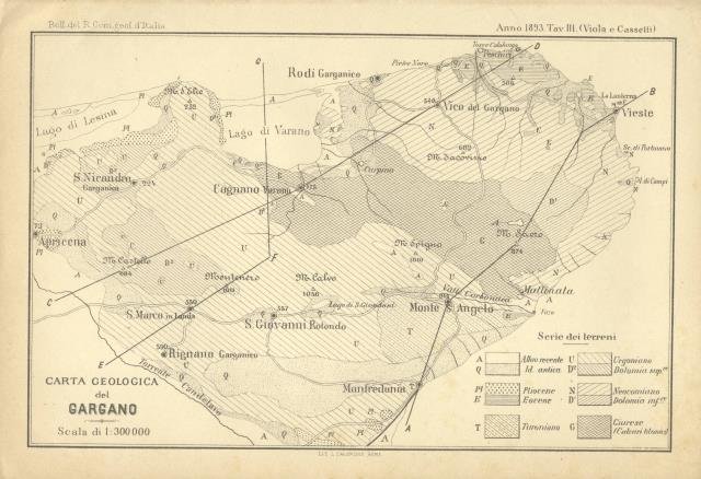 CONTRIBUTO ALLA GEOLOGIA DEL GARGANO.