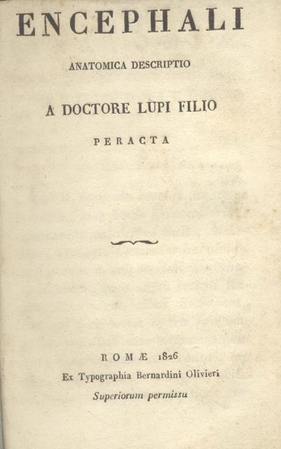 ENCEPHALI ANATOMICA DESCRIPTIO. A doctore Lupi filio peracta.