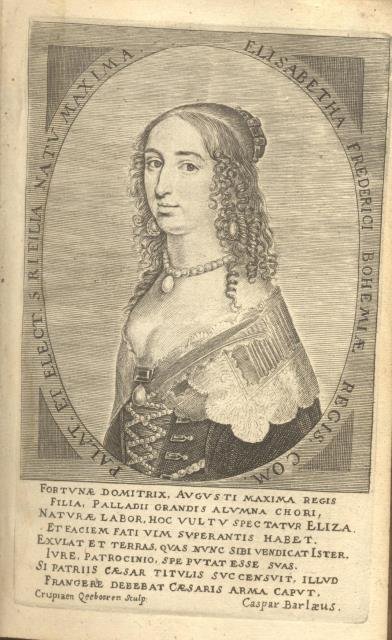 FACES AUGUSTAE SIVE POEMATIA. Quibus illustriores Nuptiæ, a nobili & …