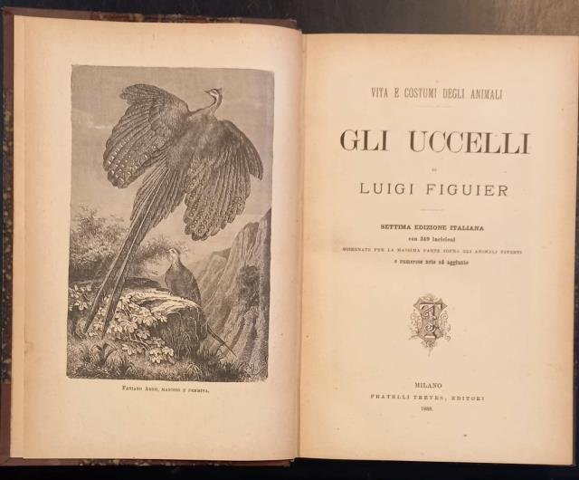GLI UCCELLI. Settima edizione italiana con 349 incisioni disegnate per …