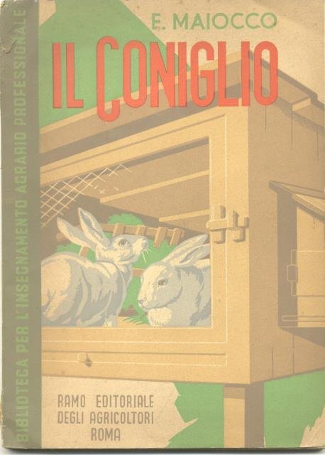 IL CONIGLIO.