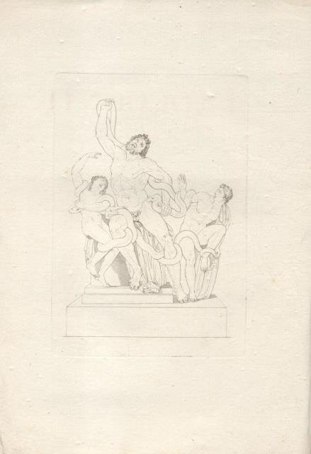 IL LAOCOONTE. Versi.