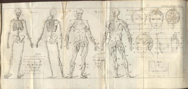 IL MAESTRO DI DISEGNO. Ossia Trattato completo dell'arte del disegnatore …