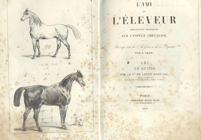 L'AMI DE L'ELEVEUR. Réflexions pratiques sur l'espèce chevaline. ABC du …