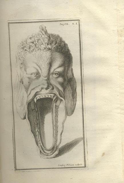 Lettera, nella quale vengono espressi colle figure in rame, e …