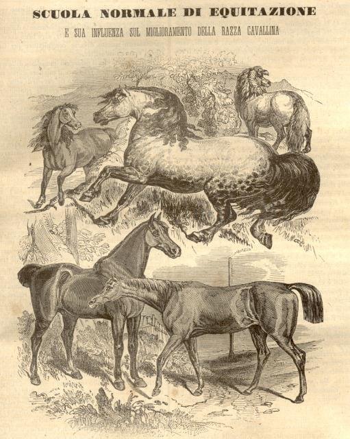 MUSEO SCIENTIFICO, LETTERARIO ED ARTISTICO. Ovvero Scelta Raccolta di utili …