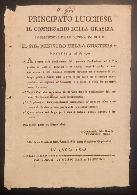 Notifica che ordina di portare i cani con catena.