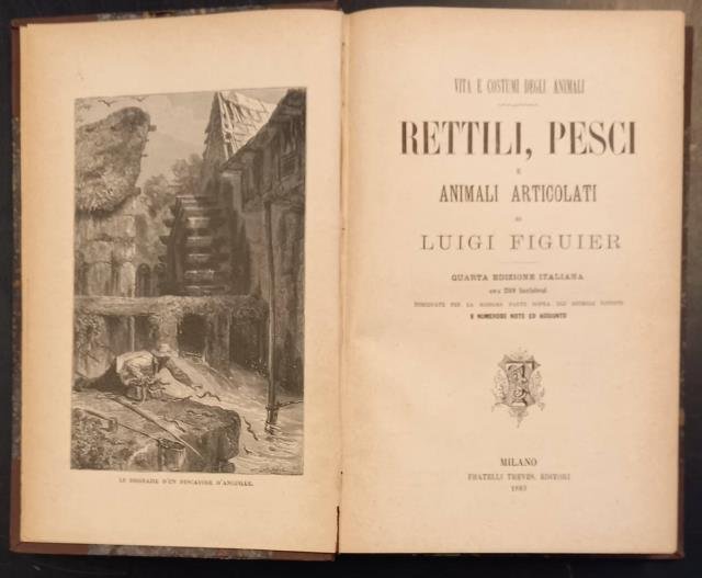 RETTILI, PESCI E ANIMALI ARTICOLATI. Quarta edizione italiana con 299 …