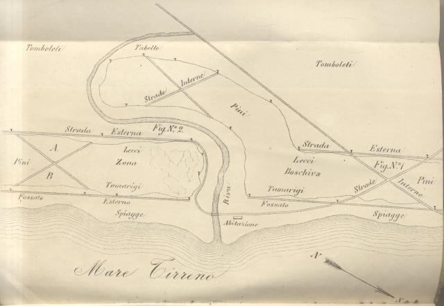 SOPRA IL RIMBOSCHIMENTO DELLE SPIAGGE DELL'AGRO ROMANO. Memorie.