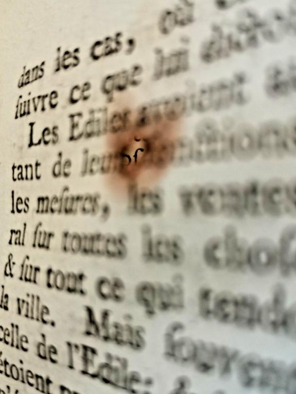 1766 La Republique Romaine Plan General De L'ancien Gouvernement De …