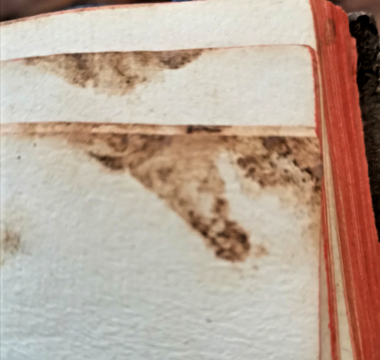 1766 La Republique Romaine Plan General De L'ancien Gouvernement De …