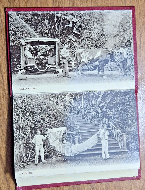 6 CARTOLINE SOUVENIR OF MADEIRA album number 2 Bazar Do …
