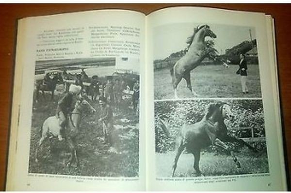 A CAVALLO COME E DOVE di Lucio Lami 1971 Aldo …