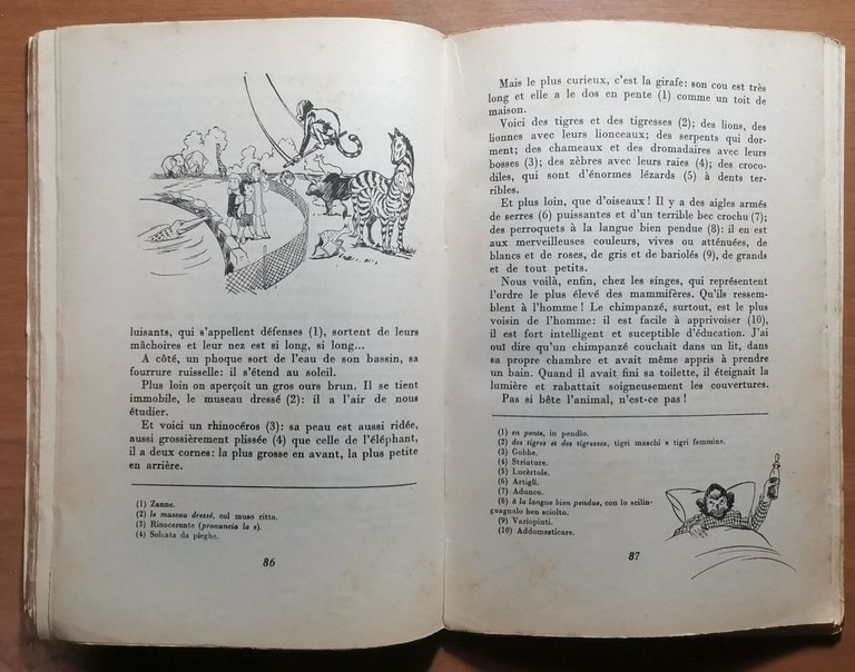ABECEDAIRE Exercices de nomenclature et premiere lecture a l'usage des …