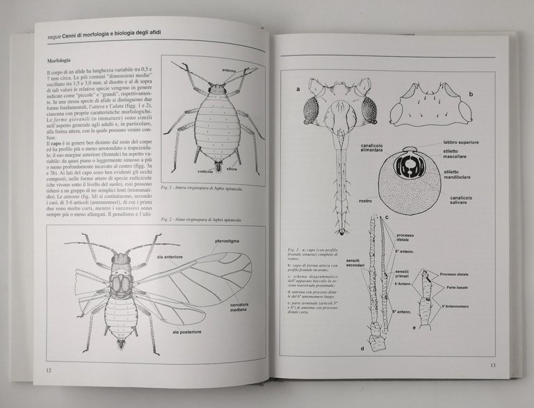 AFIDI DELLE PRINCIPALI COLTURE FRUTTIFERE di Barbieri Cravedi 1996 Bayer …