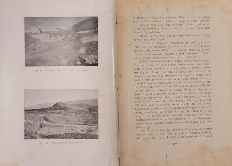 AGRICOLTURA MERIDIONALE VISSUTA di Gioacchino Viggiani 1941 Nucci Libro