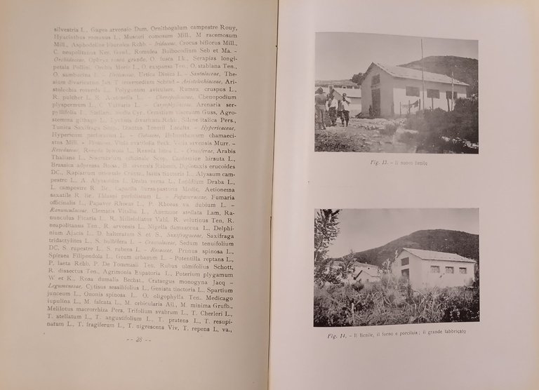AGRICOLTURA MERIDIONALE VISSUTA di Gioacchino Viggiani 1941 Nucci Libro